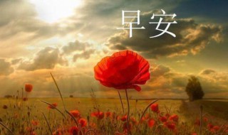 感恩早安经典语录 感恩早安的句子