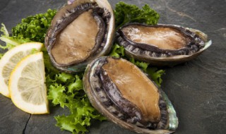 鲍鱼烧烤技巧 鲍鱼烧烤的做法