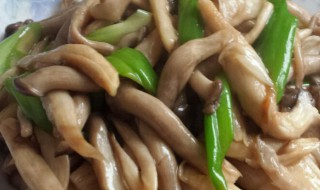 蘑菇的做法大全家常菜 蘑菇的做法