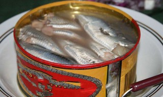 鲱鱼罐头为什么臭 它臭的原因是什么呢
