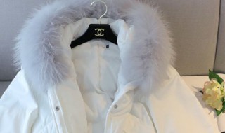 怎么洗白色羽绒服 洗羽绒服的步骤