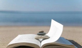 静静的看书的心情短语 静静的看书的心情句子