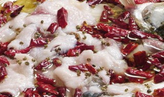 水煮草鱼怎么做好吃 如何做煮草鱼