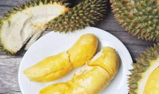 榴莲怎么挑选好吃肉多 榴莲好吃肉多的挑法