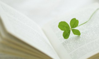 既温柔又励志的句子 温柔干净的励志句子