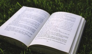 感情很现实的话语 感情说说很现实的句子