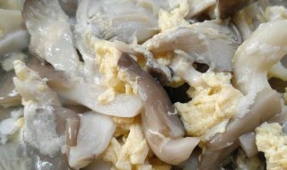 清炖蘑菇方法 清炖蘑菇如何做