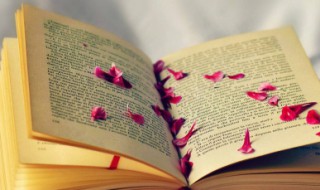 让情人感动到哭的话 让情人感动到哭的简单暖心话语