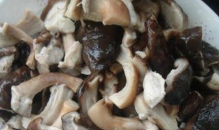 新鲜蘑菇怎么做好吃 新鲜蘑菇的做法