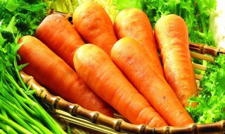 胡萝卜怎么做好吃又简单 胡萝卜好吃又简单的做法