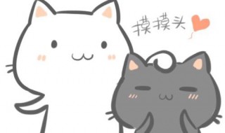 可爱的说说 可爱的说说有哪些