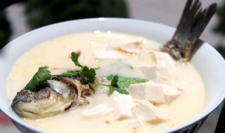 鲫鱼汤怎么做好吃营养 鲫鱼汤的做法