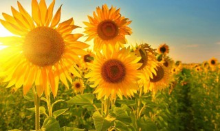 2020特别励志的一段话 2020特别励志的一段话有哪些