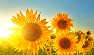 2021年你好句子 2021年你好句子有哪些