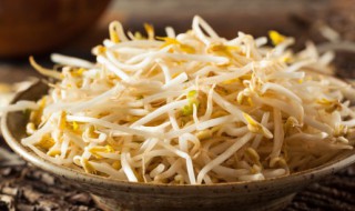 豆芽炒什么好吃 炒豆芽的做法