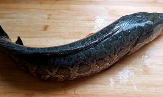 乌鱼怎么做好吃又简单 酸菜乌鱼的制作方法