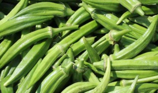 黄秋葵菜怎么做好吃 黄秋葵菜的做法