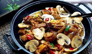 鸡腿蘑菇怎么做好吃 鸡腿蘑菇做法介绍