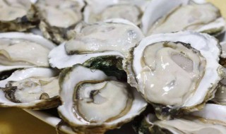 生蚝怎么煮才好吃 生蚝好吃的煮法