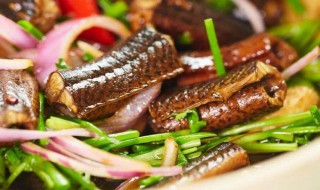 黄鳝怎么烧好吃 黄鳝好吃的做法