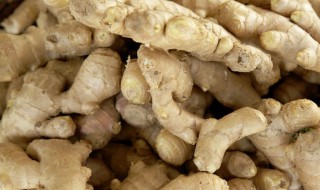 晒生姜方法 这种方法很好用