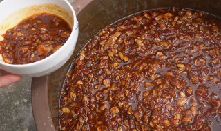 家庭自制豆瓣酱的做法 家庭豆瓣酱的制作方法