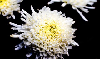 安慰朋友节哀的话 安慰朋友节哀的话列述