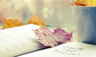 不如意的心情短语 生活不如意的句子说说心情