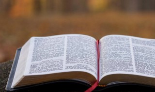 开学寄语爸爸妈妈的话 爸爸妈妈说的新学期寄语