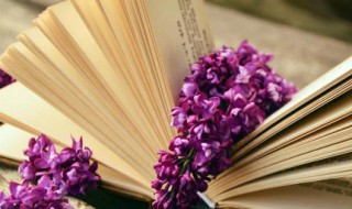 让兄弟感动到哭的话语 让兄弟感动到哭的句子