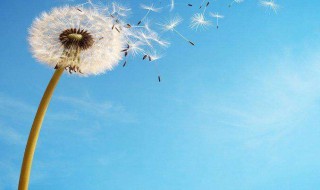 希望寄语简短 希望寄语简短列述