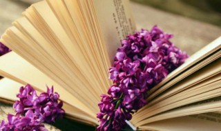 给女儿一句很经典的话 送给女儿的话经典短句