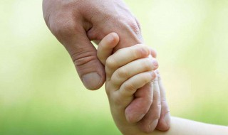 守护的简短古风句子 守护的简短古风句子有哪些呢