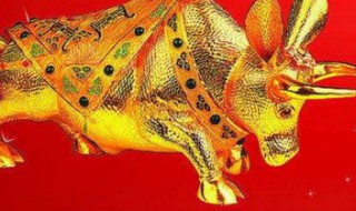 2021年什么年 2021年是牛年