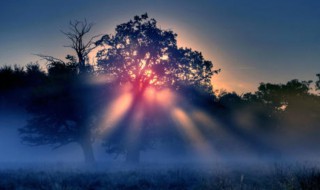 早安简洁的句子 唯美早安语句