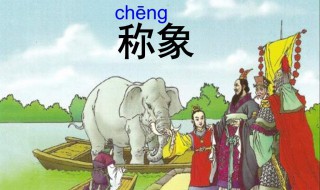 曹冲称象的方法 曹冲是怎么称大象重量的