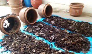 自制花肥最简单的方法 这样做的花肥最简单