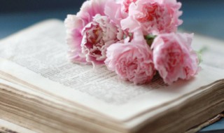 超甜的句子 适合发说说的超甜句子