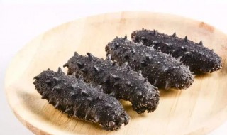 海参的烹饪方法 海参的烹饪方法分享