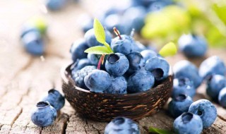 怎么洗蓝莓最好 蓝莓的介绍