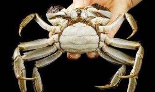 螃蟹怎么洗干净去内脏 螃蟹洗干净去内脏的方法