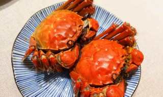 大闸蟹要煮多久才熟 水煮大闸蟹的方法