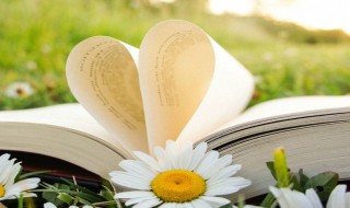 有你们真好的句子 遇见你们真好友情说说