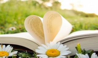 米旁的字有哪些字 米字旁的汉字