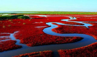 盘锦好玩的地方有哪些 盘锦好玩的地方有哪些
