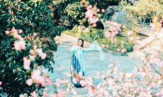 小说里瞬间落泪的句子 需要怎么写到美好的句子