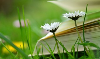 撩人又暖心的晚安 撩人又暖心的晚安情话