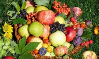 老人适合吃什么水果 老人适合吃的水果有哪些