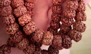 金刚菩提怎么清理干净 金刚菩提子怎么清洗