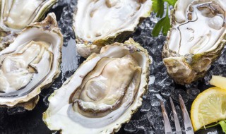 孕妇补锌的食物有哪些 孕妇补锌可以吃些什么